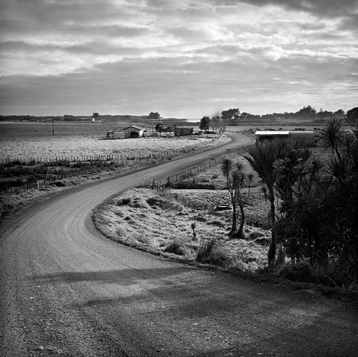 Pakiri Morning  Richard Smallfield 2008