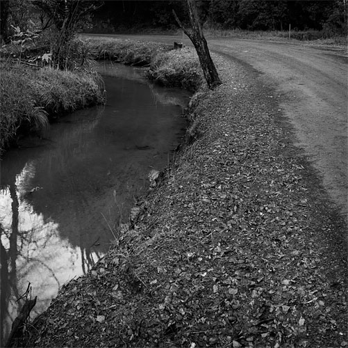 Downstream, Whangateau � Richard Smallfield 2010
